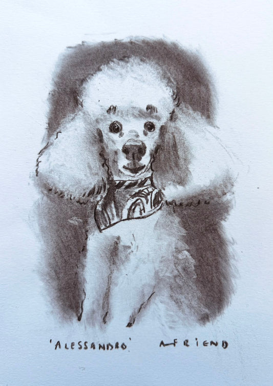 Alessandro