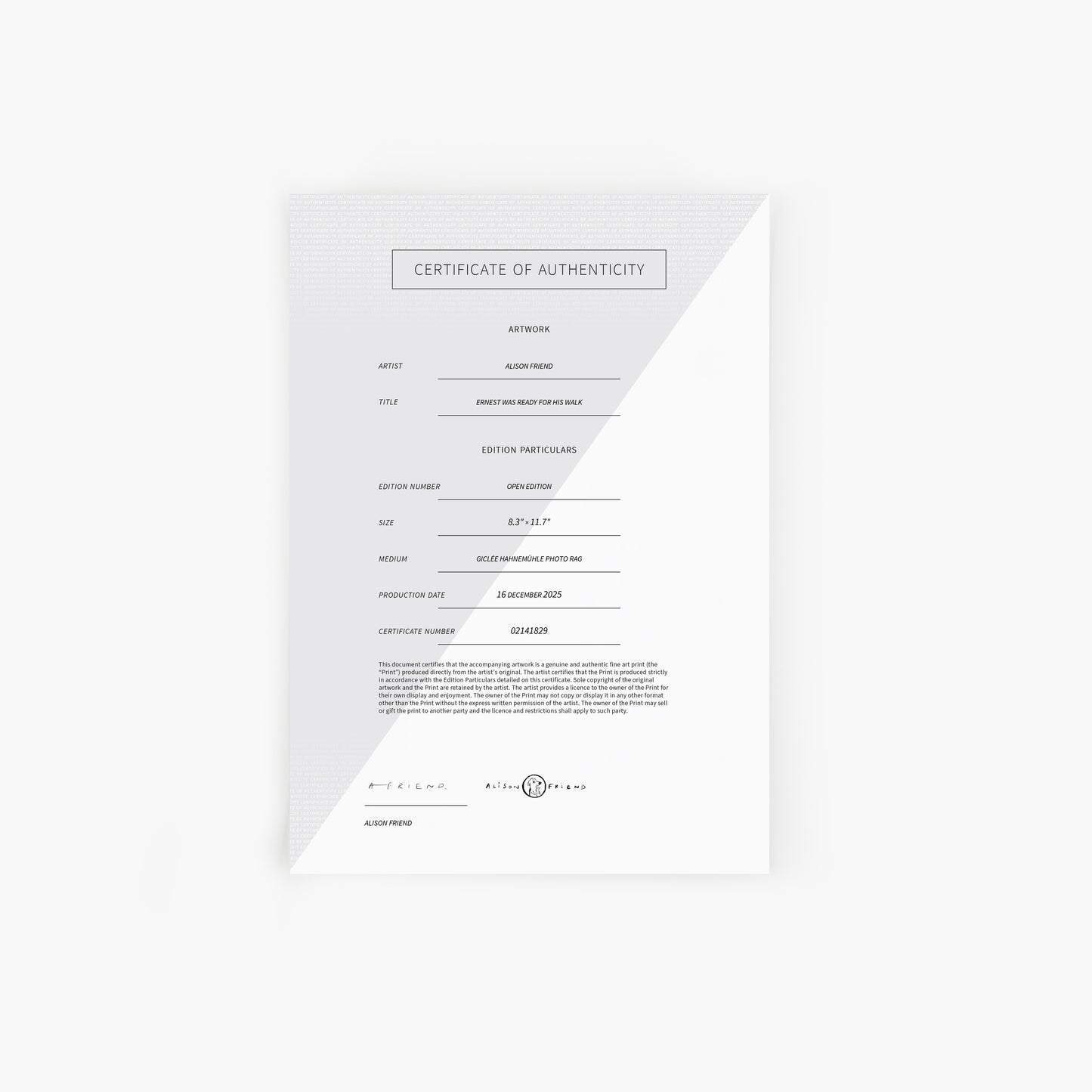 Ernest Was Ready For His Walk