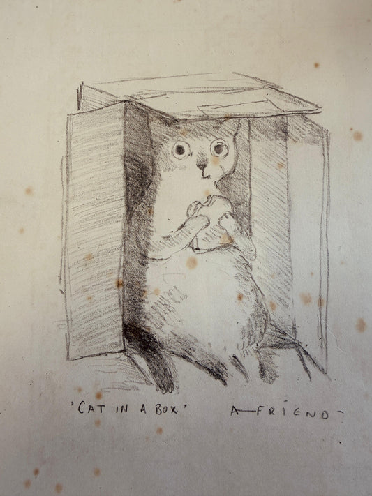 Cat in a box