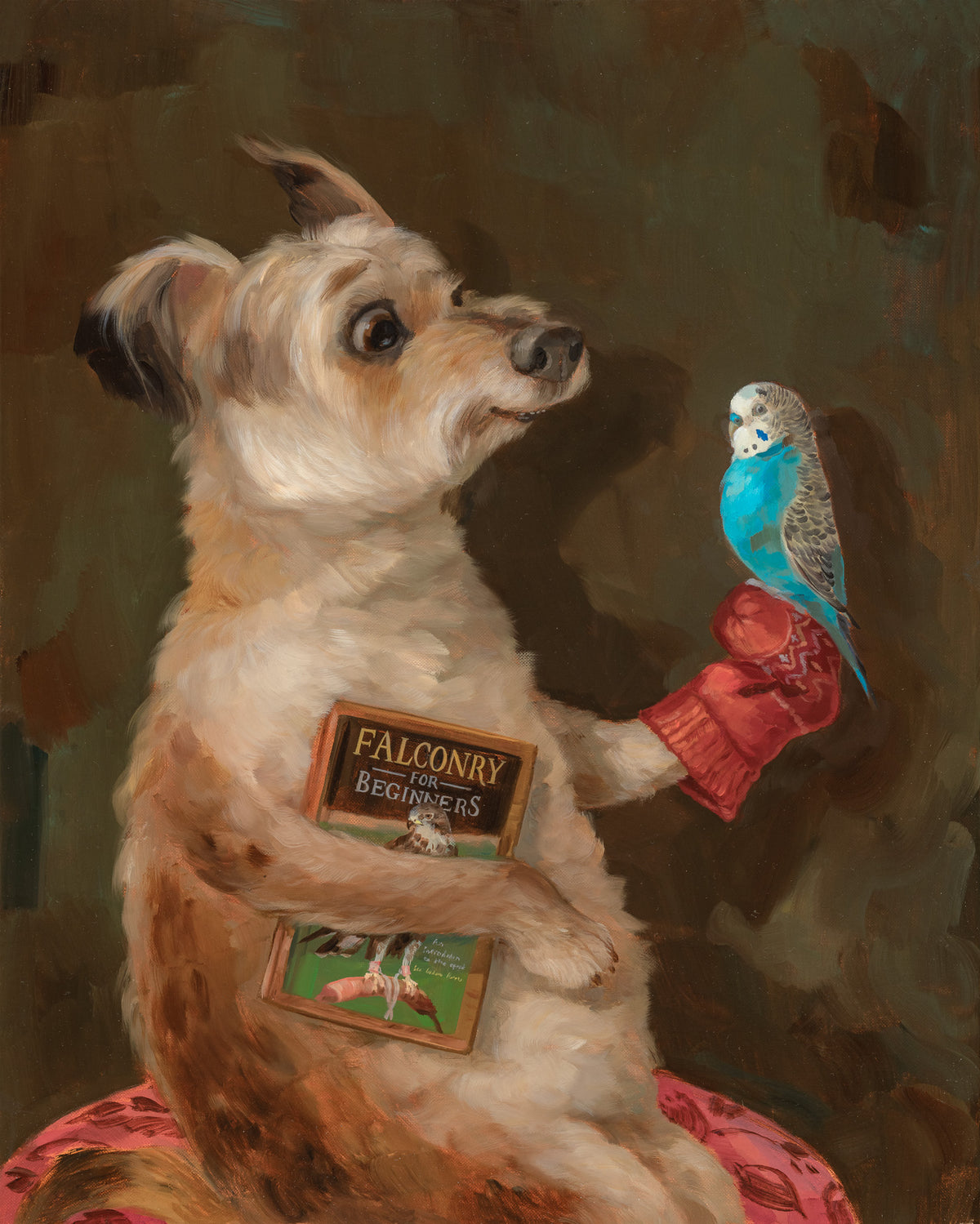 Virgo - Falconry for Beginners