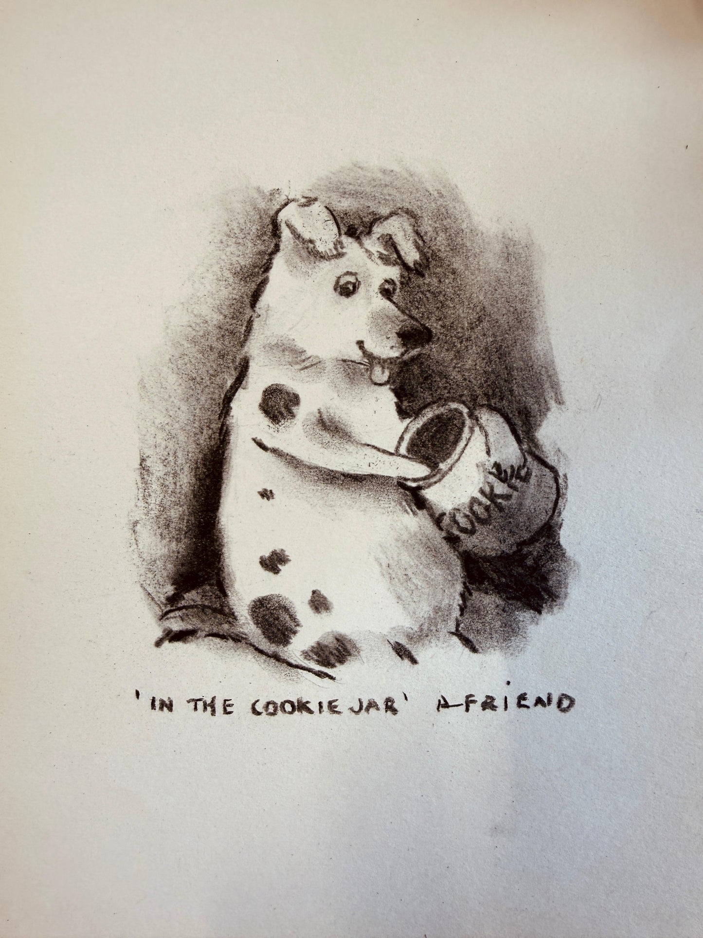In the Cookie Jar