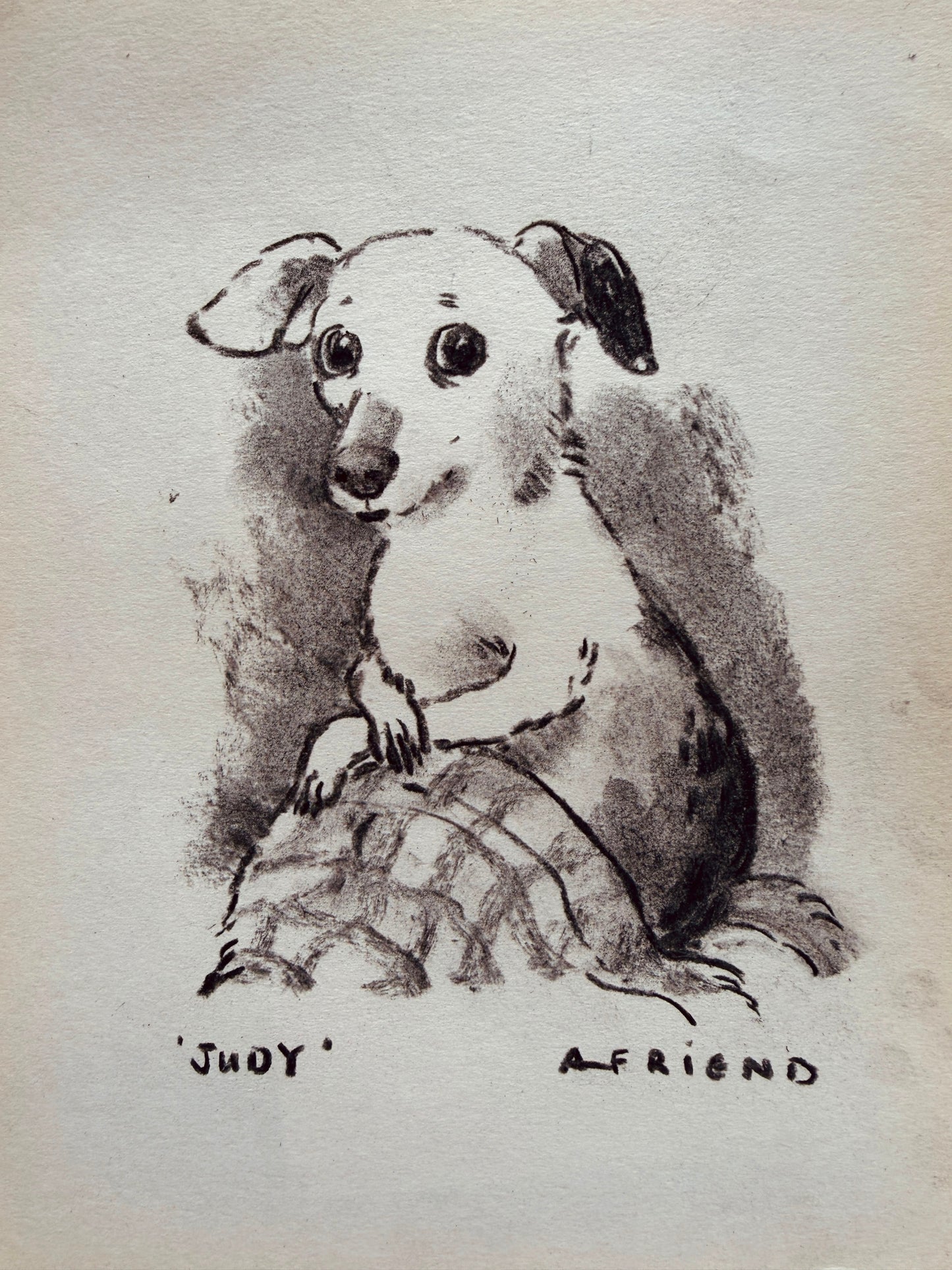 Judy