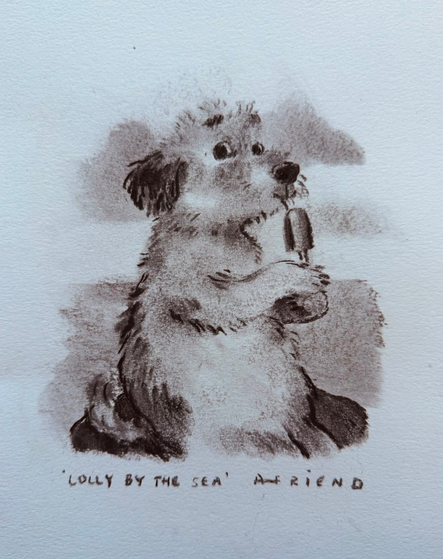 Lolly by the Sea