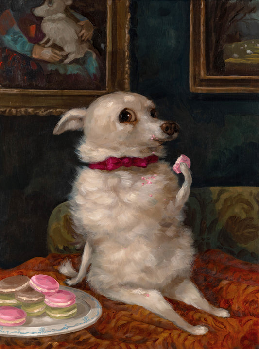 Macarons for Josephine