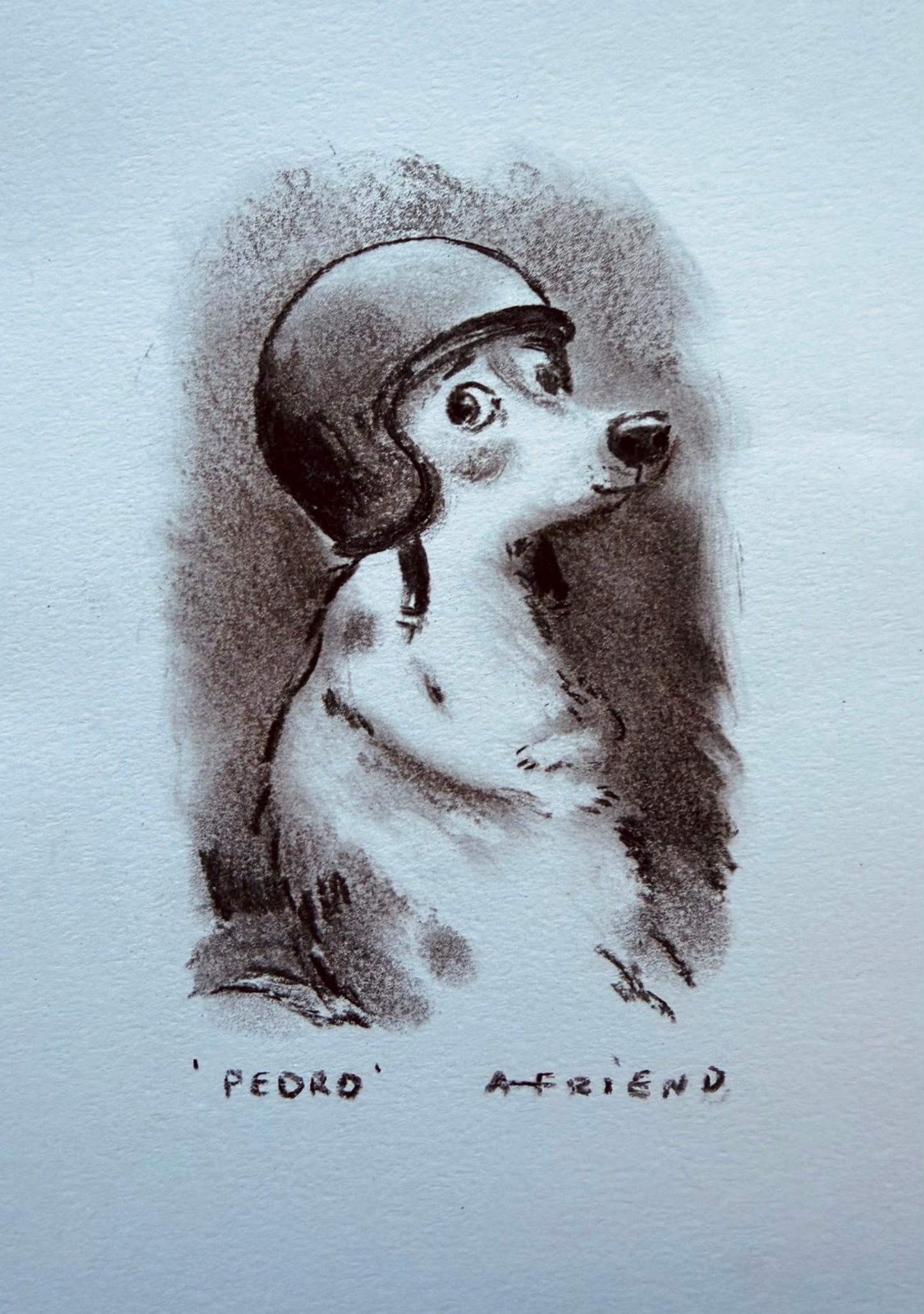 Pedro
